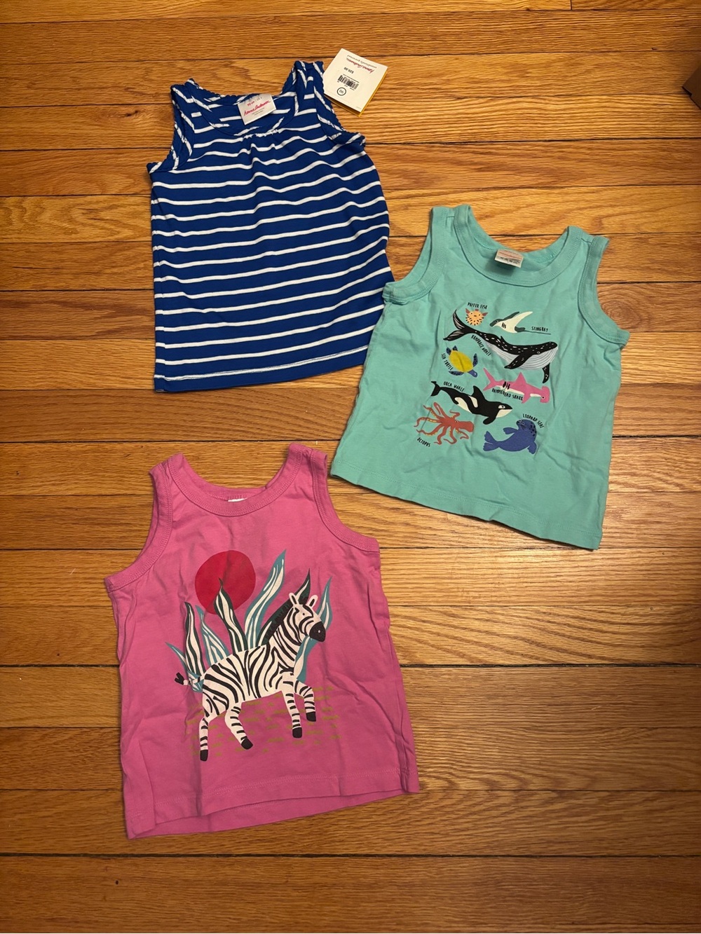 Hanna Andersson tank top trio